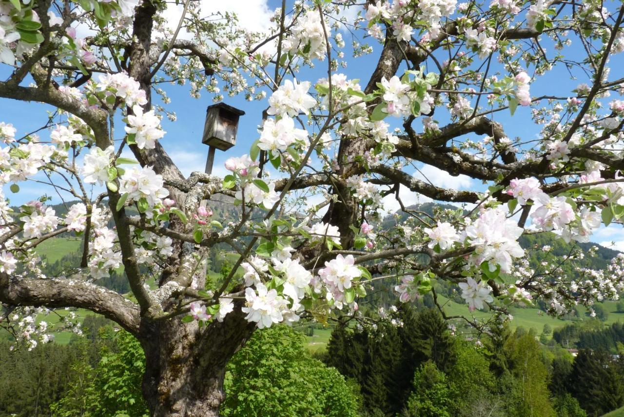 Filzenhof *