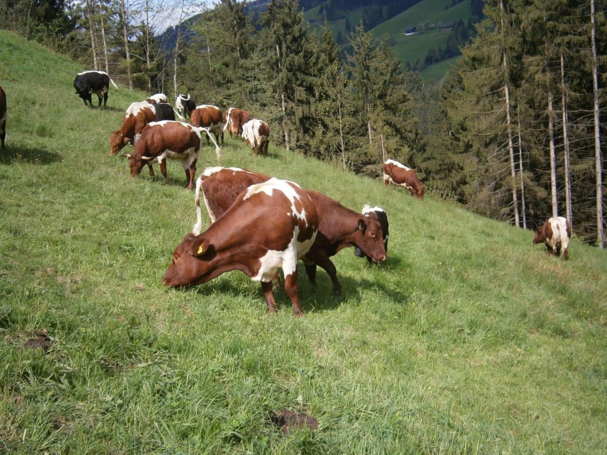 Filzenhof * Kitzbühel