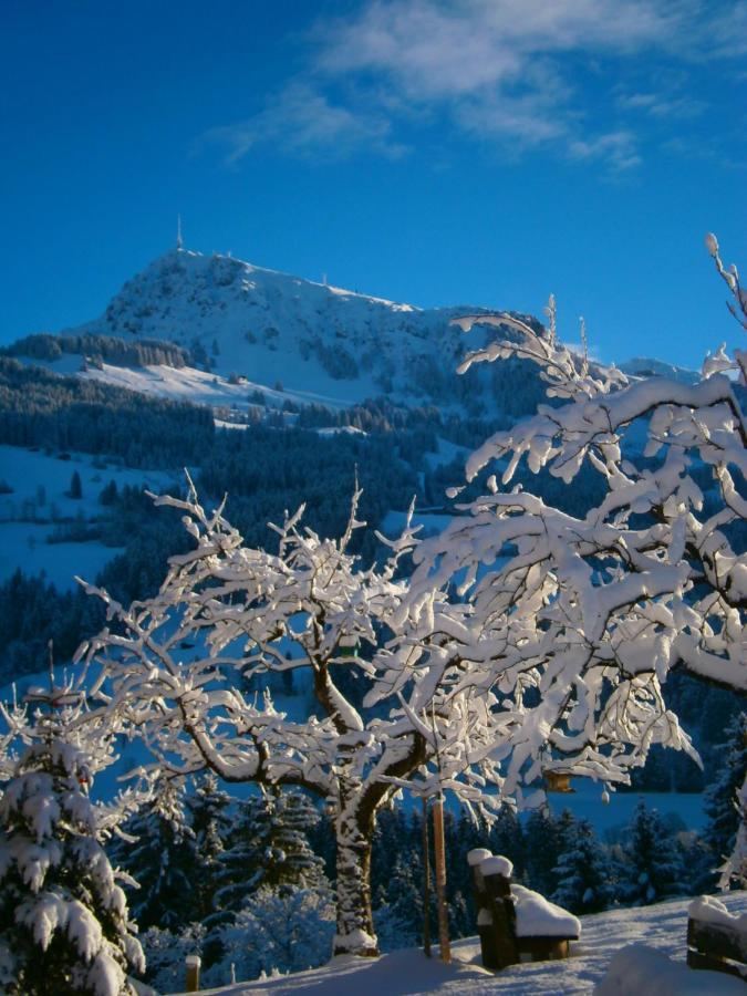 Filzenhof Kitzbühel