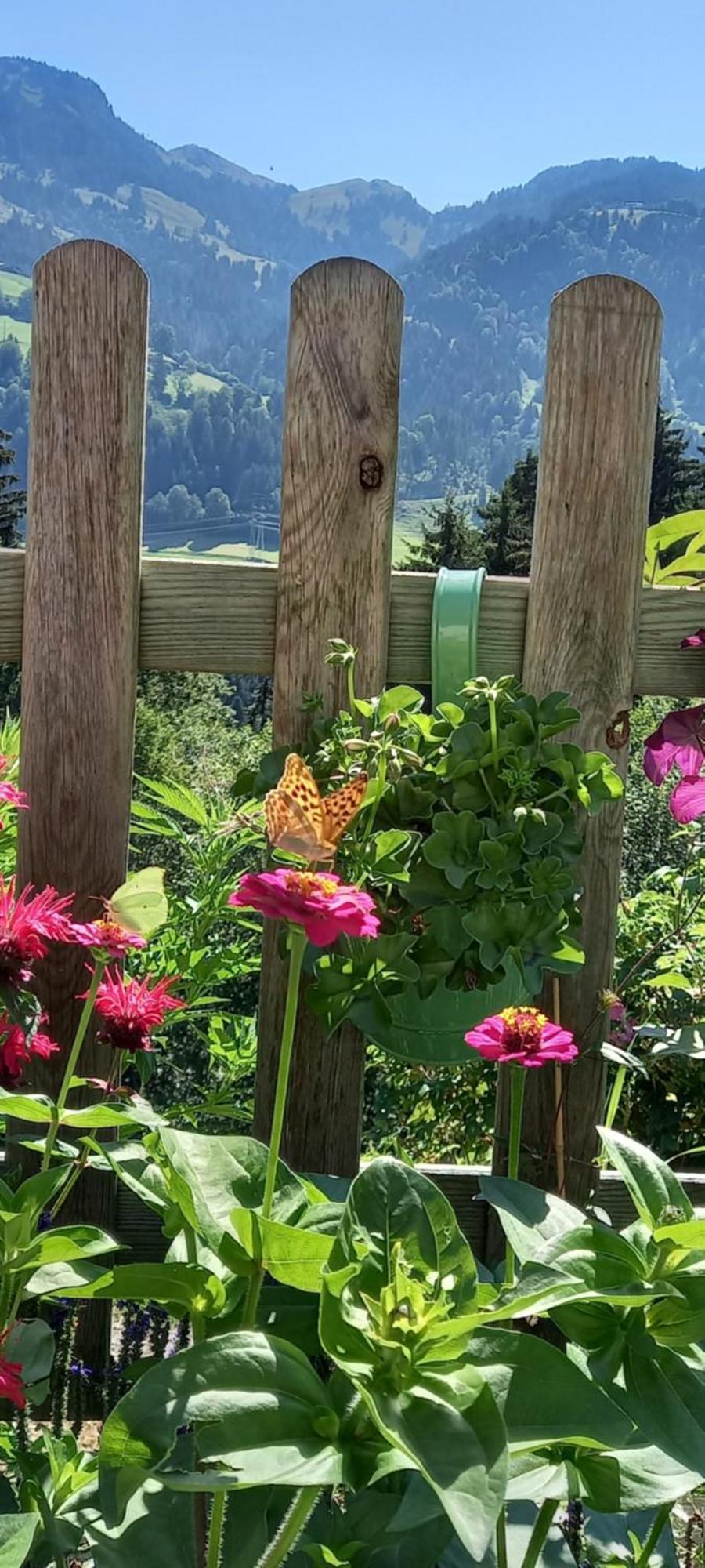 Filzenhof Apartamento Kitzbühel