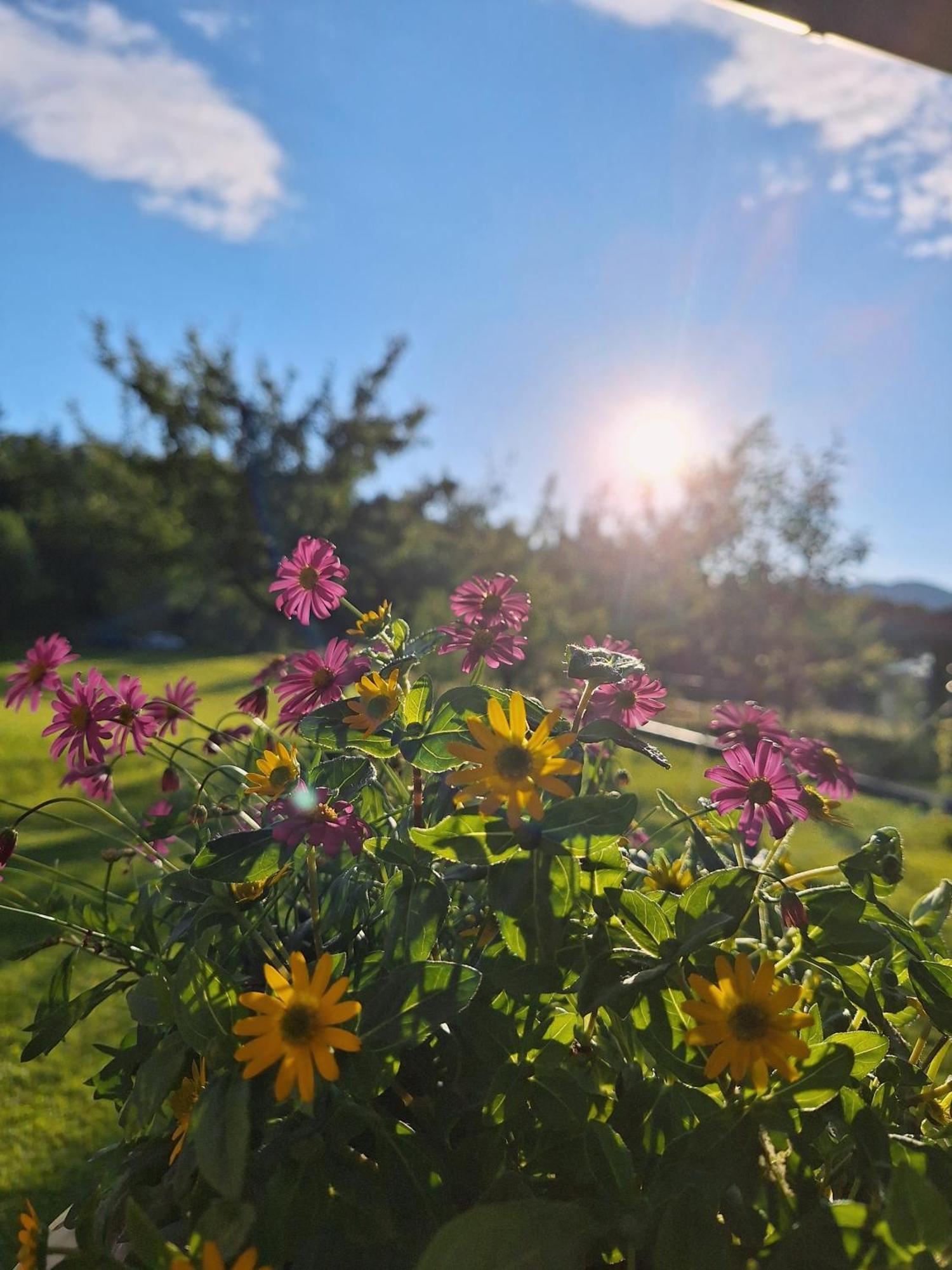 Apartamento Filzenhof Kitzbühel